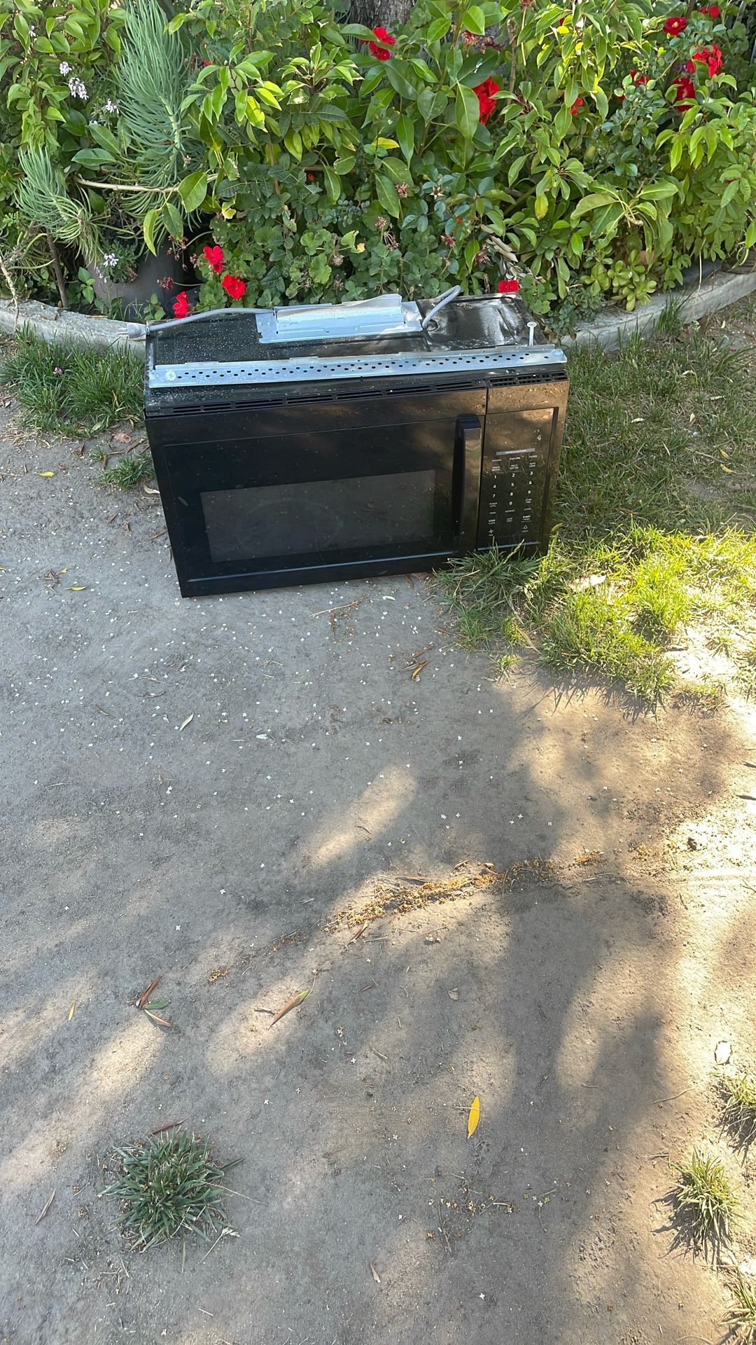 Industrial Microwave Deep Freezer