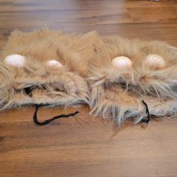 Pet Halloween Costume