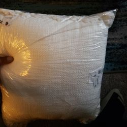 oeko tex pillow