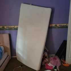2 Twin Mattress 