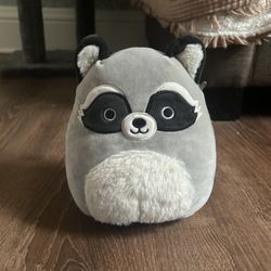 Assorted Squishmallows (5 Total)