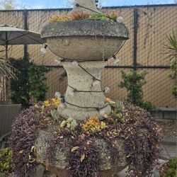 **ALL PLANTS in FOUNTAIN**    HUGE Variety of Succulents/Ruby Necklace