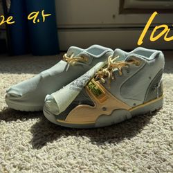 Brand New Travis Trainer Nike Shoes 