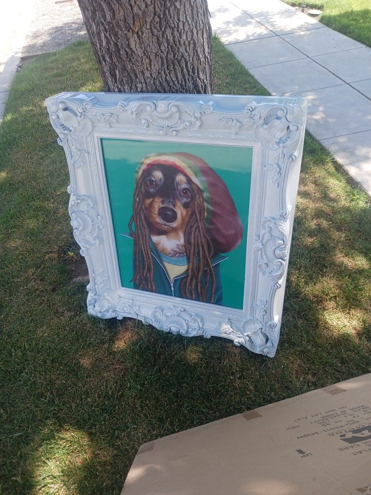 Dog Picture