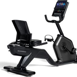 Schwinn 290 recumbent exercise bike 