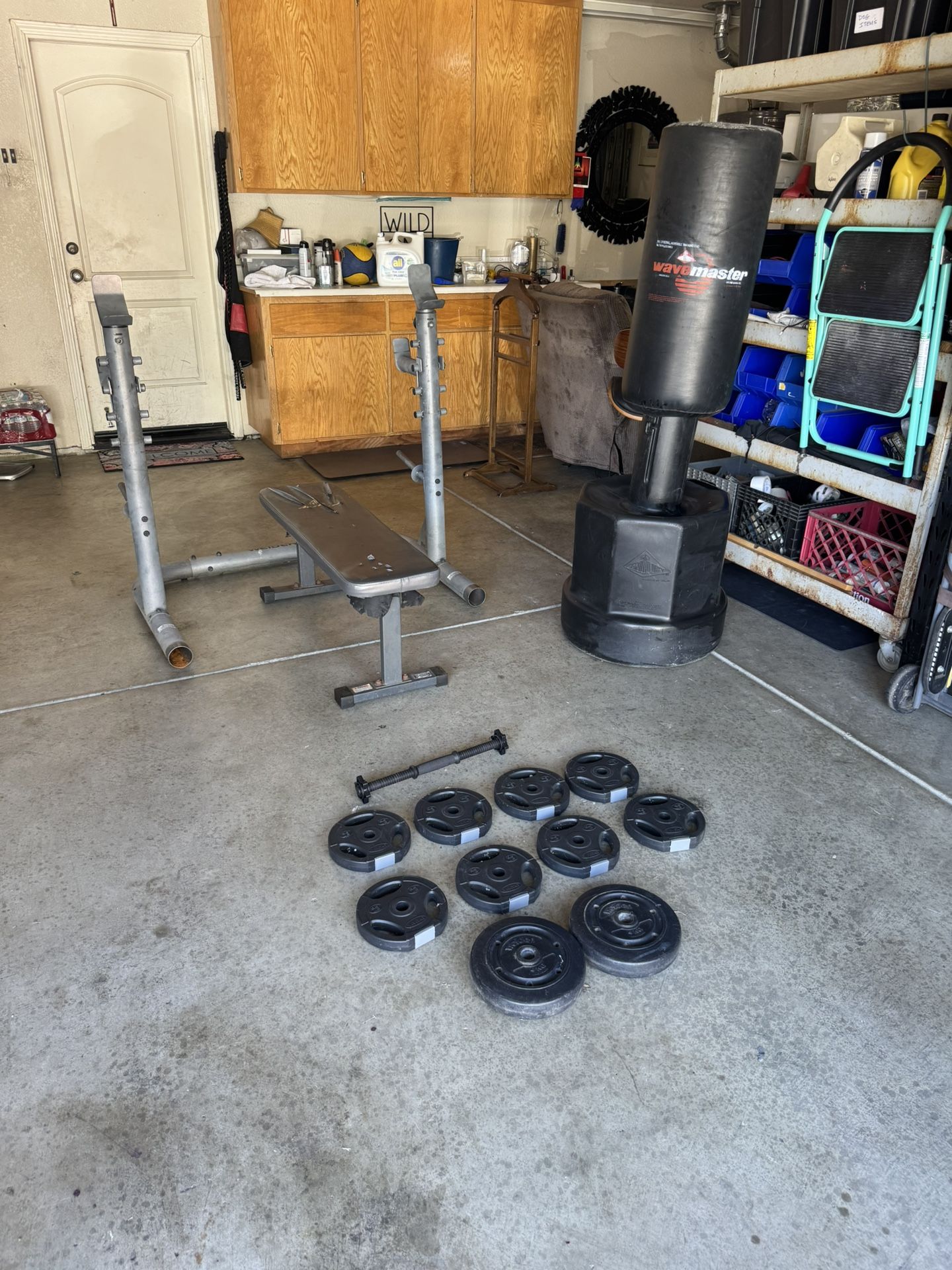 Weight Setup with training bag All For $100