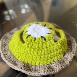 Cat Hat