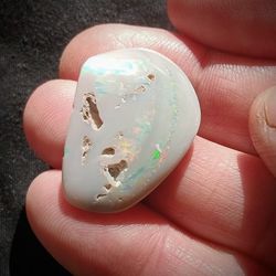Opal Sea Shell. 