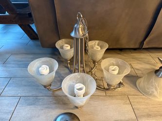 5-Light Brushed Nickel Chandelier with Glass Shades