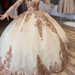 Gorgeous brand new quinceañera  dress