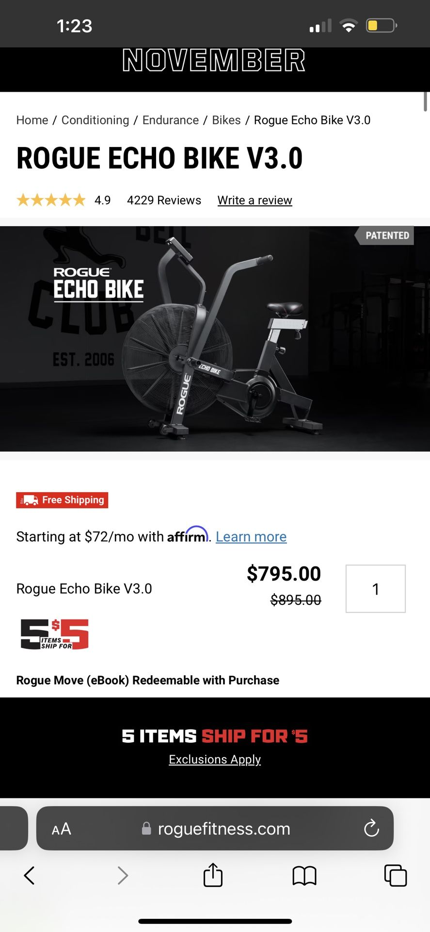 rogue echo bike sale