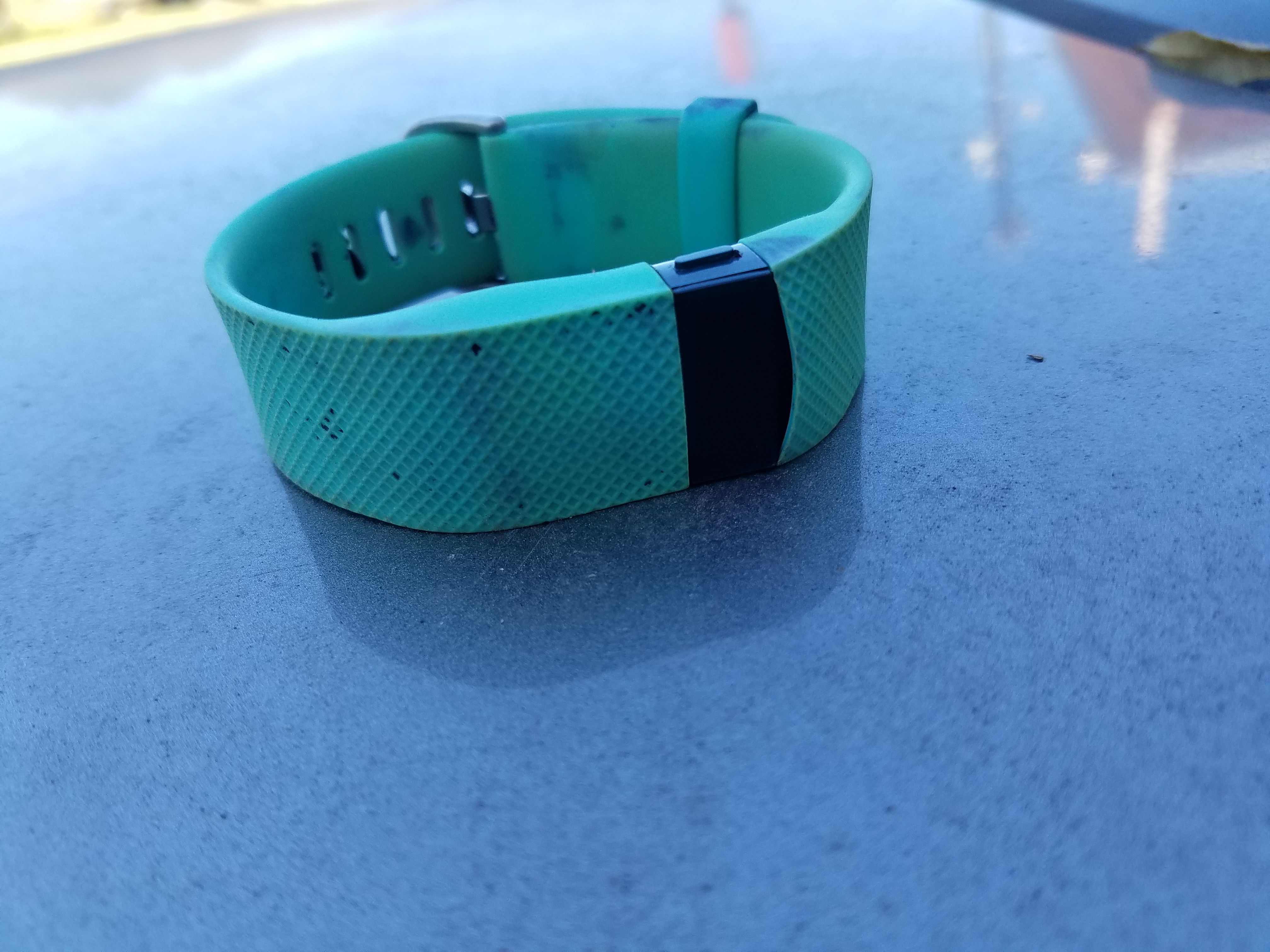 Fit Bit