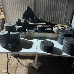 Weights  plate weights  Dumbbells 
