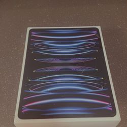 iPad Pro 12.9 Inch 6th Generation (wi-fi +cellular)