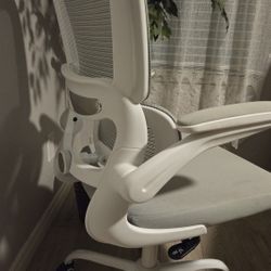 Gray & White Ergonomic Gaming/Office Chair – With Lower Back Support