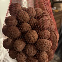 Free Walnuts