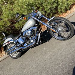 Softail 