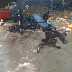 Weight Bench