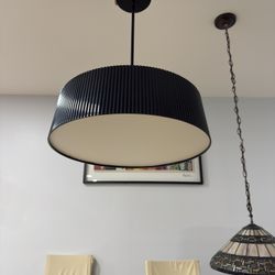 Modern Black Pendant Light 