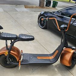 ActivLife-Aurora Fat Tire Two-Wheel Electric Scooter for Adults