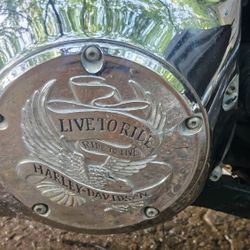 2004 Harley Davidson Softail 