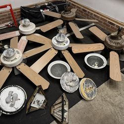 Ceiling Fans