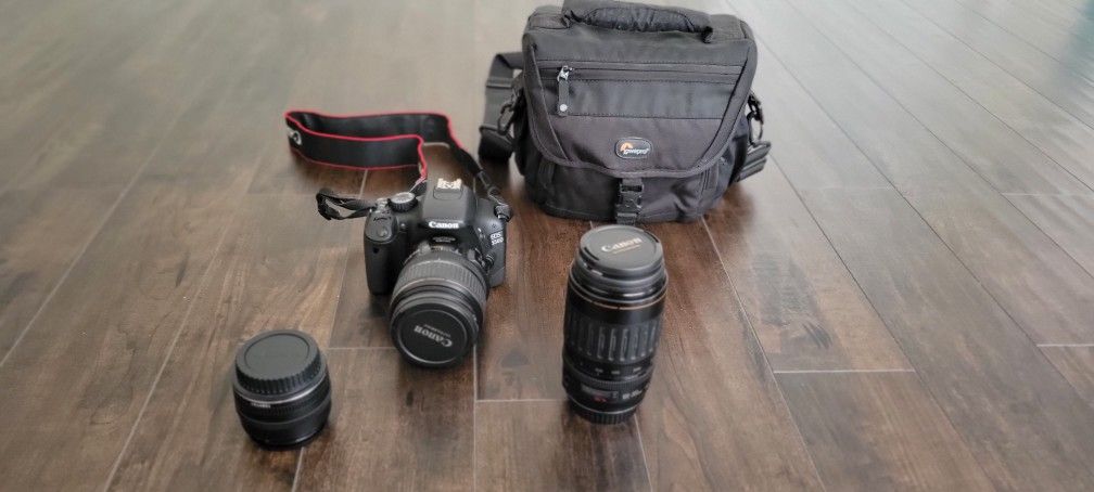 Canon 550D Body And 17-85mm, 50mm, 100-300mm Lenses
