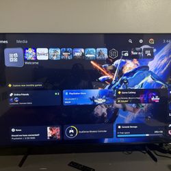 55" & 65 "