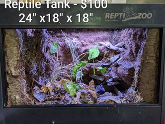 Repti Zoo Reptile Tank - 34g abandoned bioactive