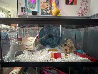 LARGE PET CAGE (TANK)