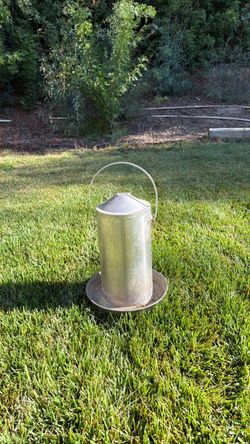 Chicken water dispenser