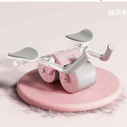 Ab Roller Wheel Exercise 