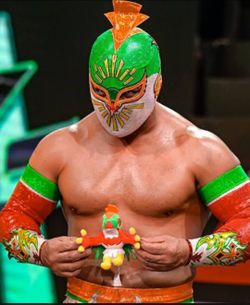 Mistico hawlucha