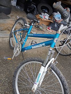 Roadmaster mountain bike