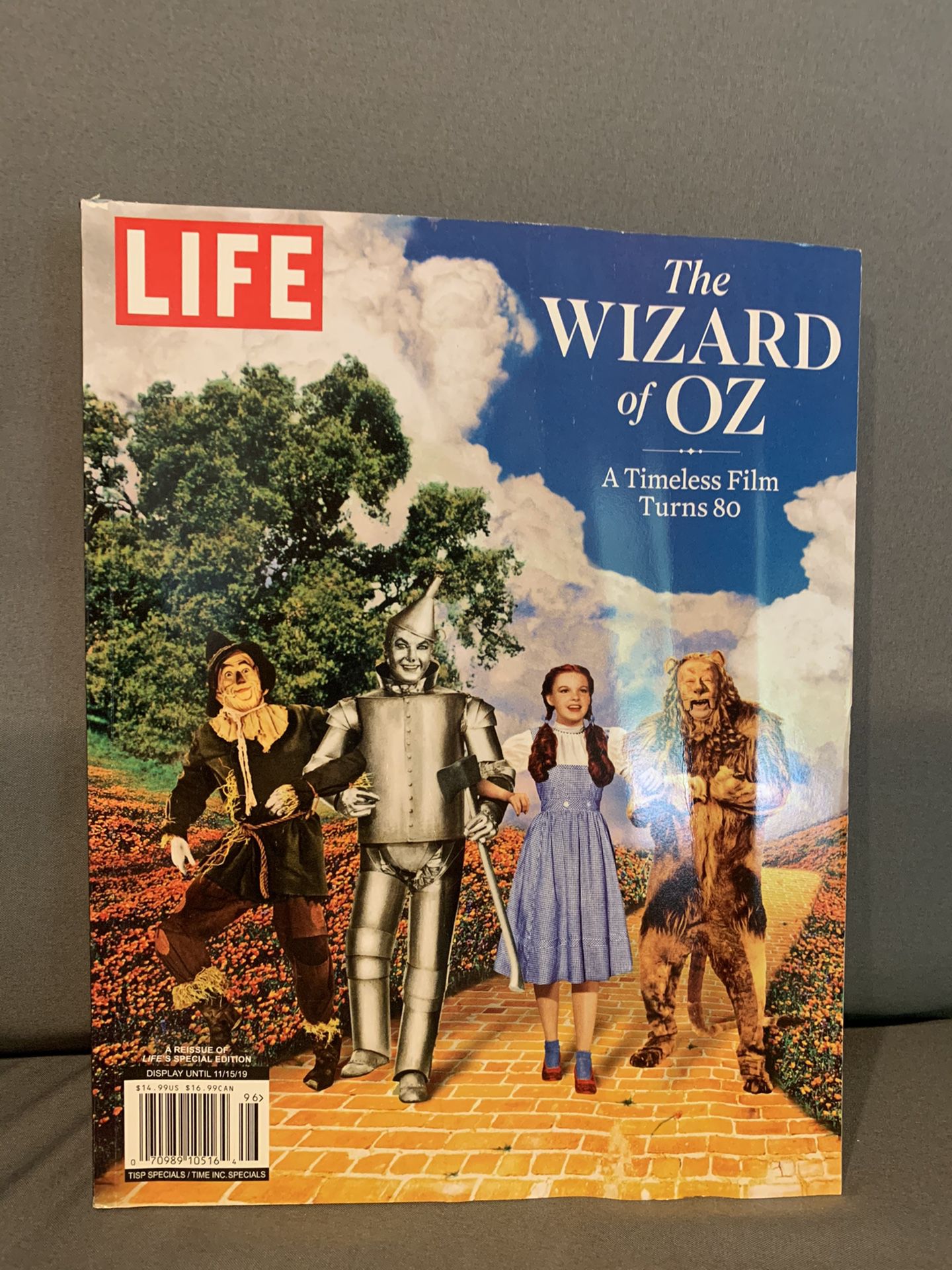 Wizard of Oz paperback book