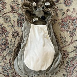 Baby Hedgehog Costume