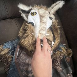 Wolf Costume