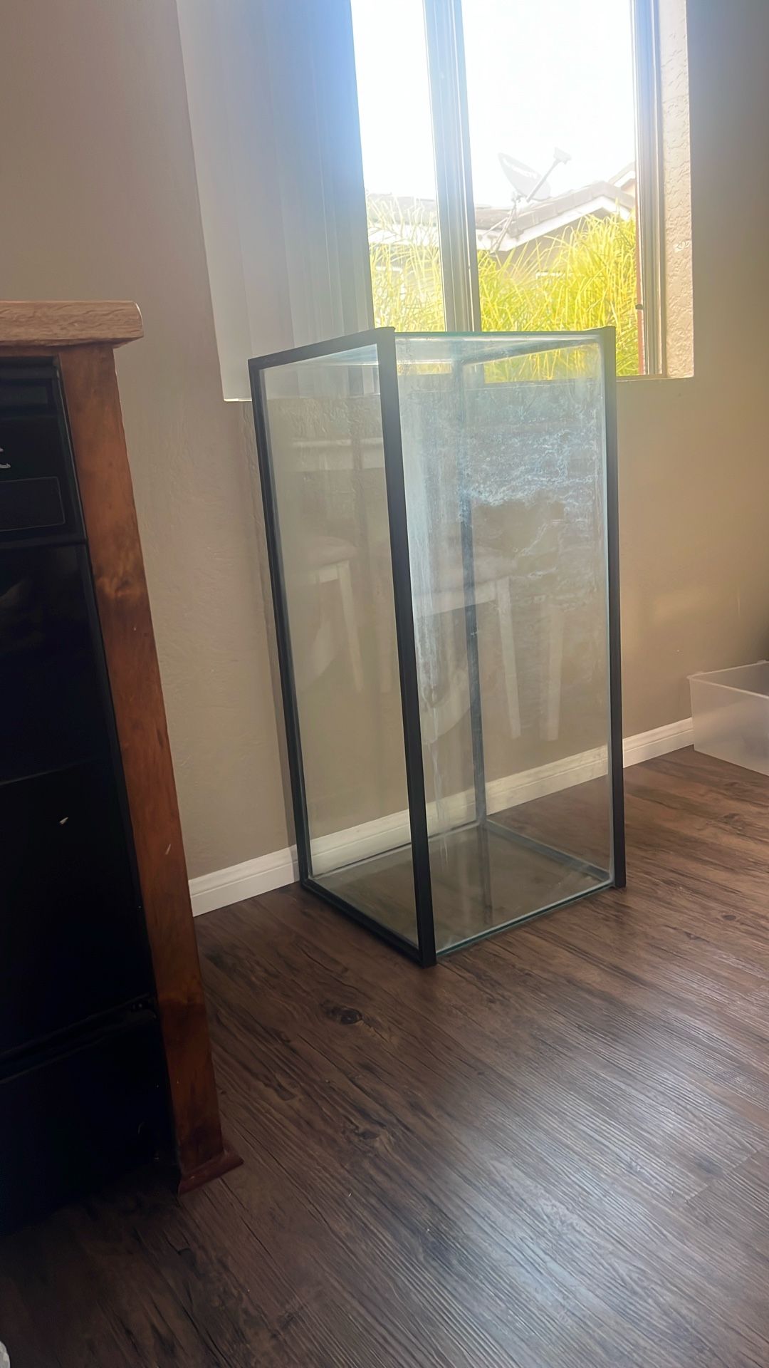 40 Gallon Fish Tank