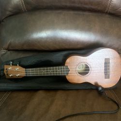 Kala Learn To Play Ukulele 