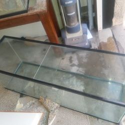 Fish Tank 