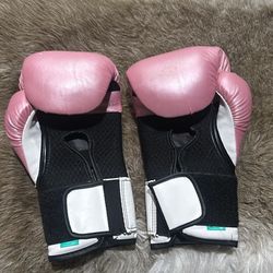 GN Shark Boxing Gloves: Everlast 