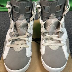 Air Jordan 6 Cool Grey Size 10.5