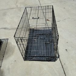 Dog 🐕‍🦺Cage Medium 