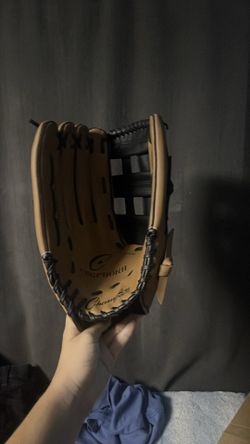 campion sports baseball glove