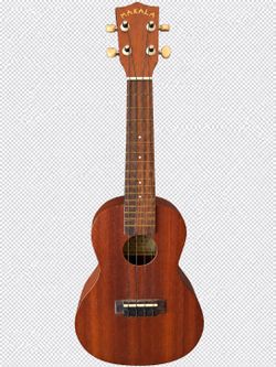 Makala by Kala MK-C Concert Ukulele.