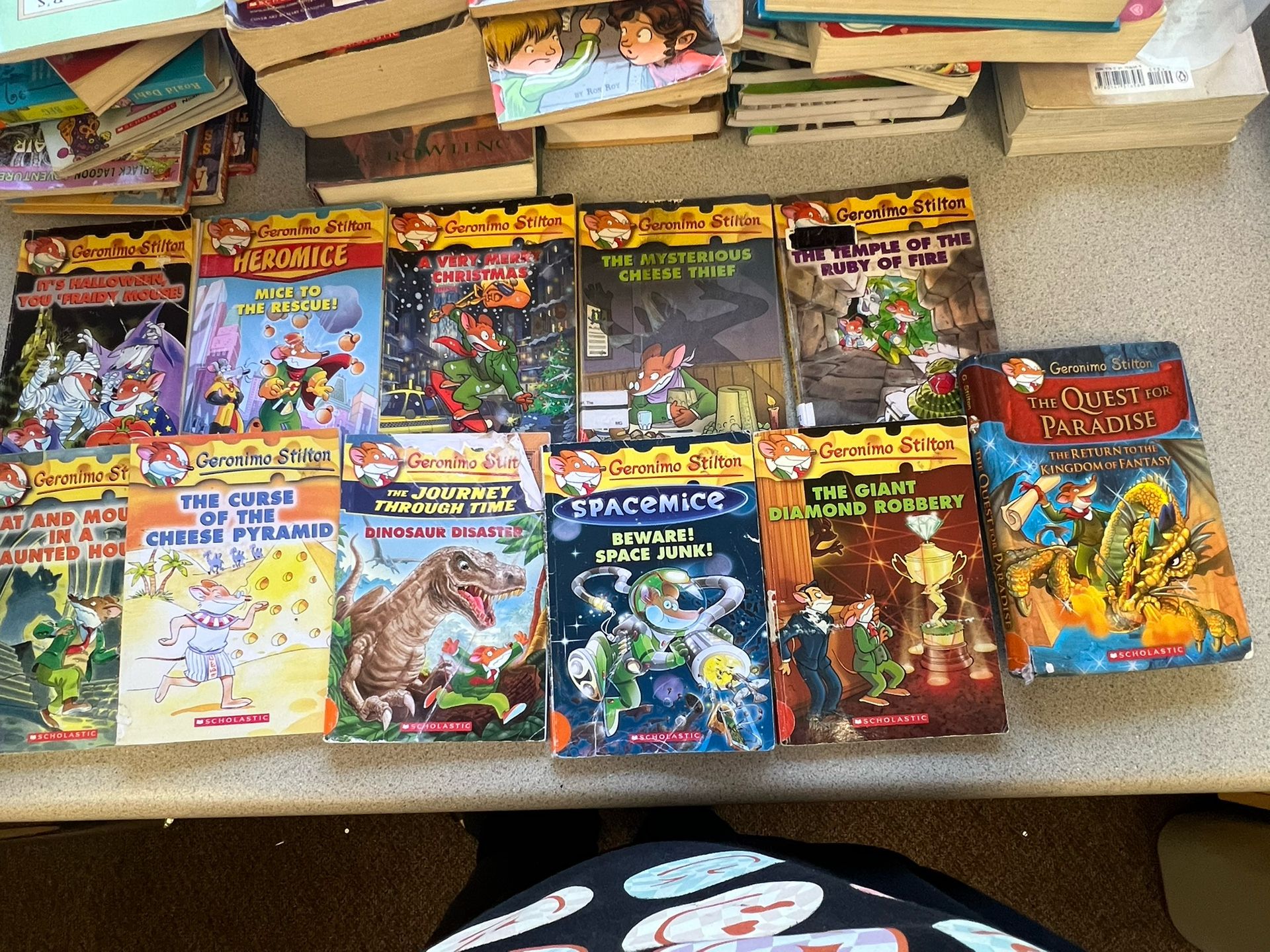 Geronimo Stilton Books