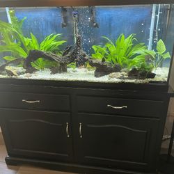 55 Gallon Aquarium Tank 