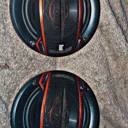 Dual Speaker 