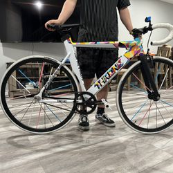 Throne Bike 55cm