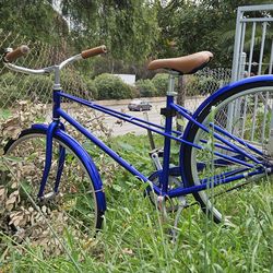 Windsor essex bicycle